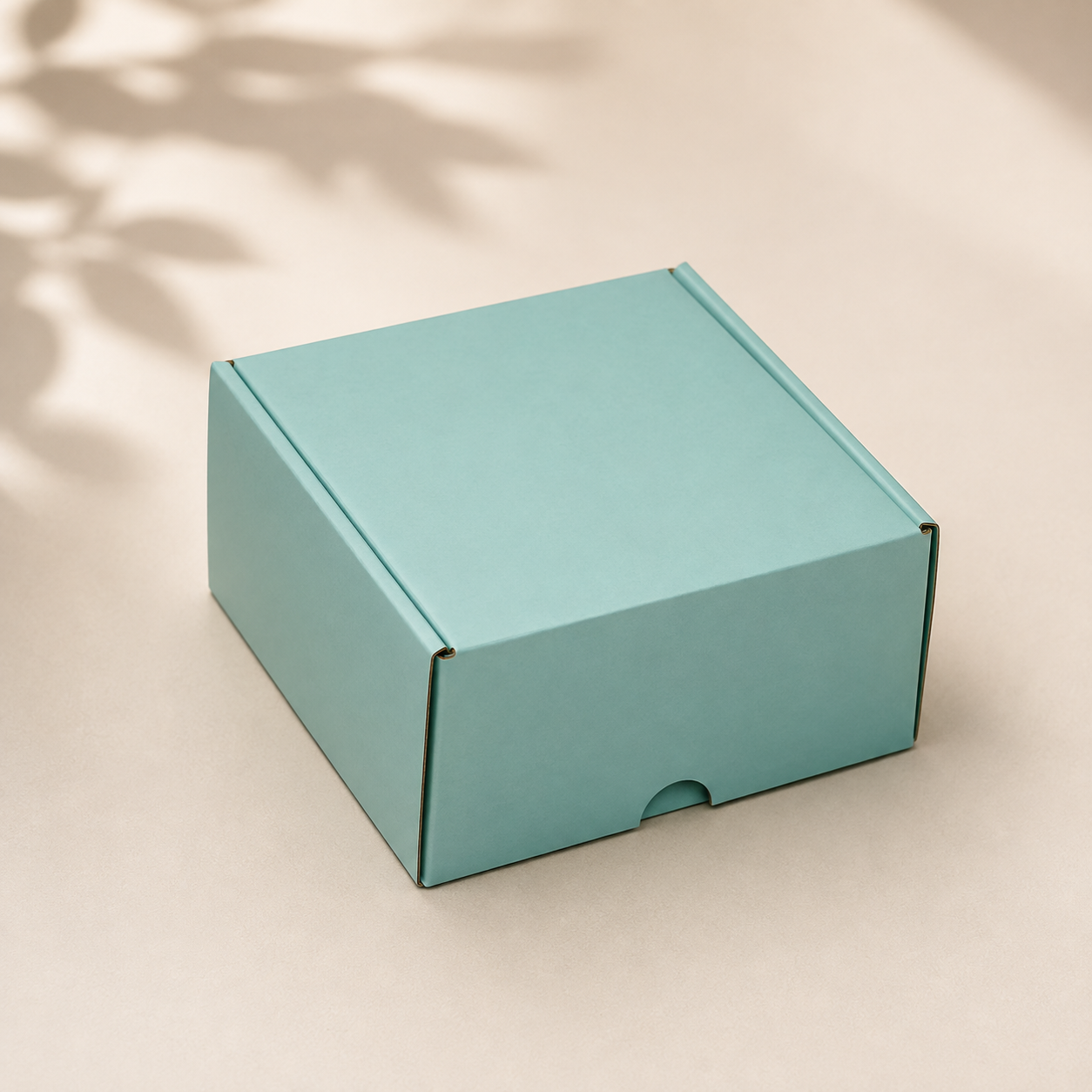 Small Mailer Box